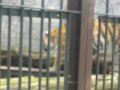 IMGP0843.JPG